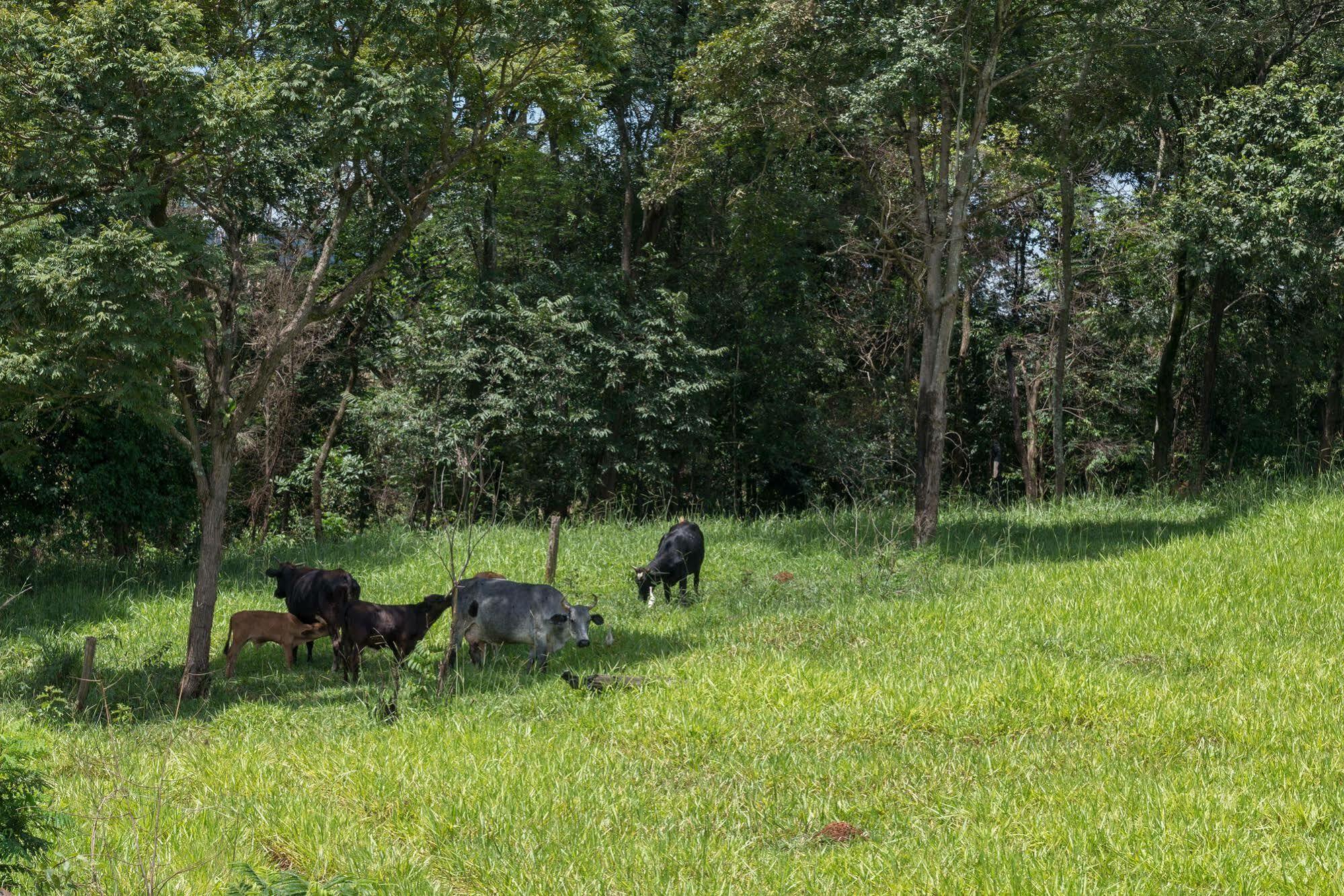 Estancia Das Angolas - Inhotim Brumadinho Exteriér fotografie